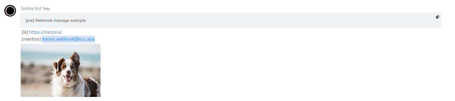mezon-webhook-004